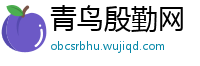 青鸟殷勤网